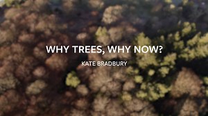 1.3K views · 51 reactions | Why Trees, Why Now?  Join the global...