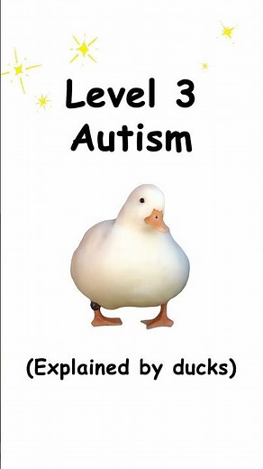 Level 3 autism (explained by ducks)