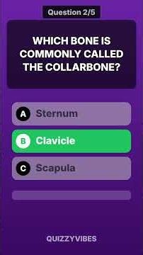 Test Your Anatomy Knowledge! 🩺🦴