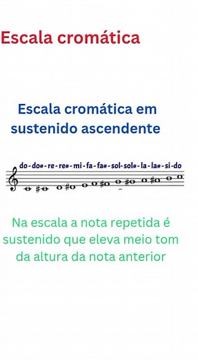 escala cromática ascendente sustenido #flauta #instrumental #teoriamusical #musical #instrumental