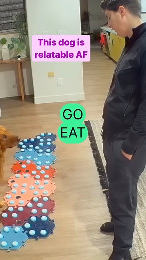 We can't get enough of @cachecowadventures - so smart! #fluentpet Want a kit of your own? Shop the biggest sale of the year here through Dec 3rd: https://fluent.pet/s/Black-Friday-Starts-Now | FluentPet