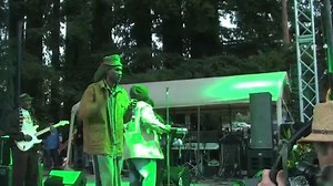 1.5K views · 50 reactions | Midnite - Kingdom Trees | Reggae Attack | Facebook