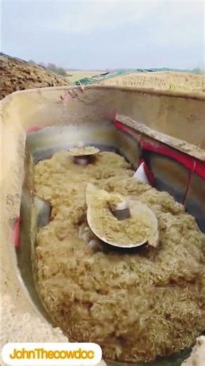 mixing hay for cow feed at farm #food #cow #cowfarm #shorts