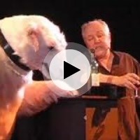 Le Digicode by Marc Jolivet