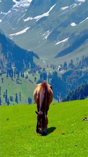 Kashmir ❣️✨ The Most Beautiful Place in the World