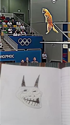 cat of the funny gun😏