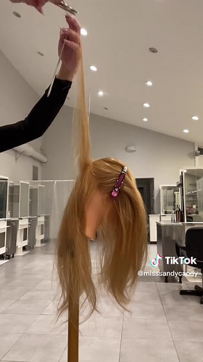 V Shape Layers Haircut Tutorial