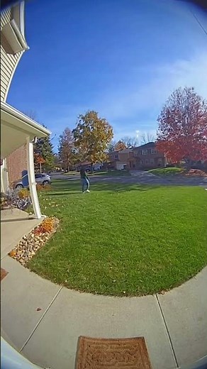 Wild encounter 🦅 Eagle took away pet dog from owner's garden #dog #eagle #chase #wildlife #wild