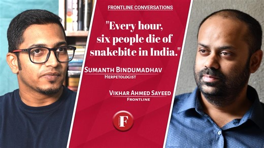 Every Hour, Six People Die Of Snake Bite In India: Herpetologist Sumanth Bindumadhav