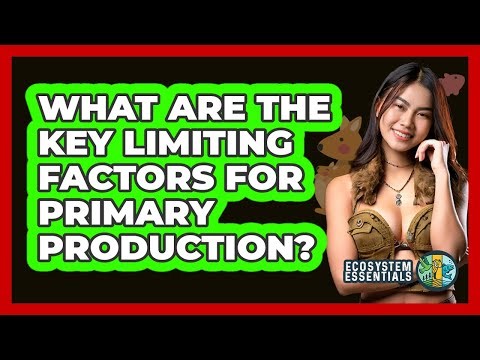What Are The Key Limiting Factors For Primary Production? - Ecosystem Essentials