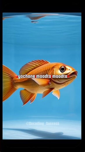 The Boiling Fish Story That Explains Failure #motivation #decodingsuccess