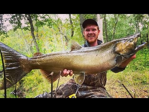 How To Float Fish A Bead For King Salmon In The Betsie River, Manistee River, Grand, st Joe, Platte!