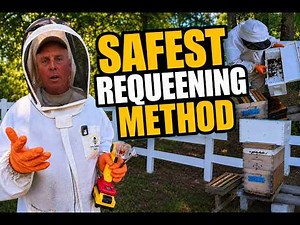 Stop Replacement Queen Death — Requeen With a Nuc Instead