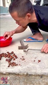 Creative Ultra-Fast Nut Shelling Tool #tools #shorts #viral #creative
