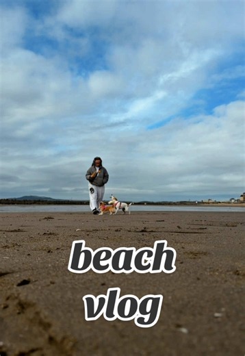 come to the beach with me & the babies 🐕🤏🏼✨ #beach #dogs #dogtok #vlog