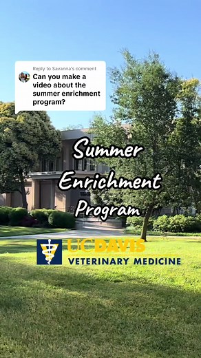 UC Davis Summer Enrichment Program Experience: A Life-Changing Opportunity