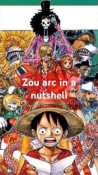 One piece: zou arc in a nutshell
