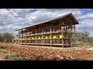 Master Beekeeping: Step-by-Step Build of an Epic Bee House!