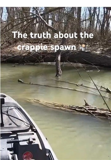 The Truth About Crappie Spawning Revealed