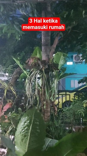 3 hal ketika memasuki rumah #selfreminder #muhasabahdiri #pengingatdiri
