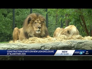 Construction starts on new lion enclosure at Blank Park Zoo