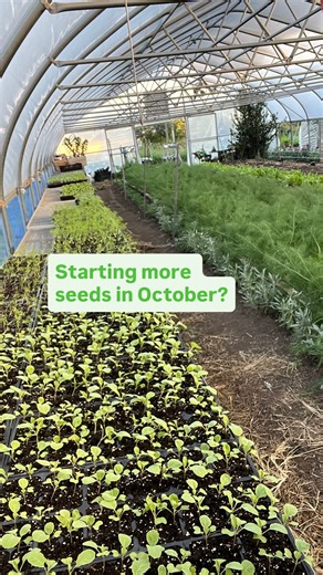 29 reactions | How to prepare for late fall and winter growing?...