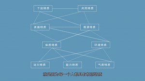 卡特尔16PF是哪16种？一起来看看