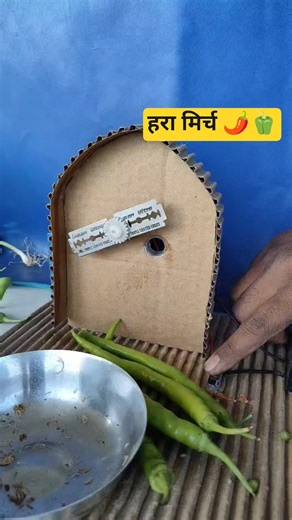 मिर्च काटने पर मूंह पर आगया . Dc Motor New Project