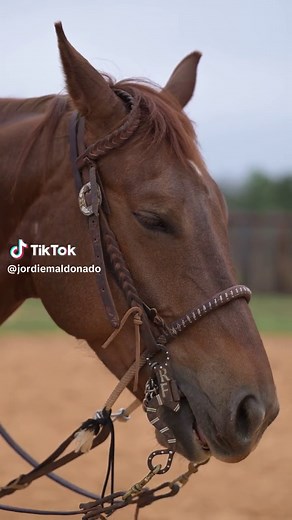 Lord it’s your world we’re just livin’ in it🌎 #calfroping #rodeo #prca #cowboy #horse #horsesoftiktok #roping #rope