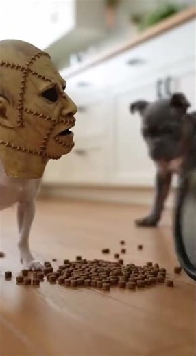 Chihuahua Pranks Bully Puppy with HORROR Mask Watch the Puppy Freak Out