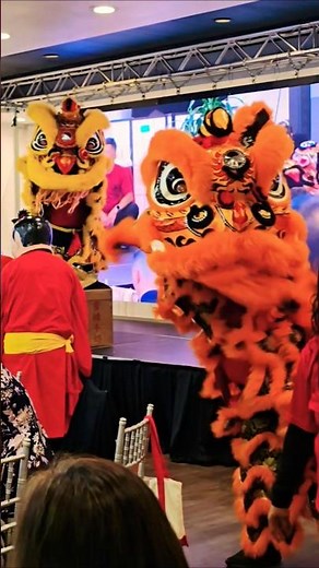 lion dance (lunar new year celebration)