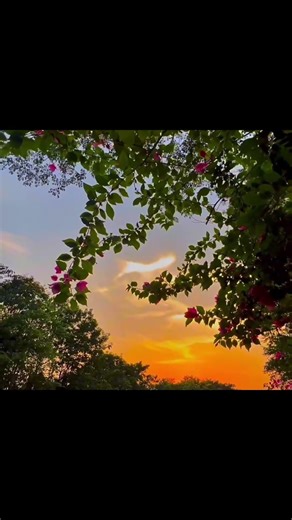 Samjhawan 🥹🤌🏻 #shortsvideo #love #song #breakupsong #viralsong #ytshorts #hiteshlyrics #music