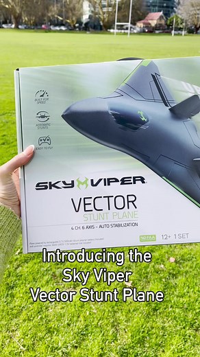 Introducing the Exciting Sky Viper Vector Stunt Plane
