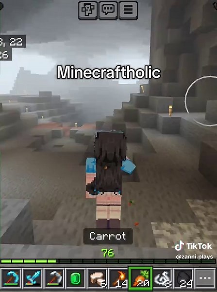 Cute Minecraft Memes: Guilty as Charged