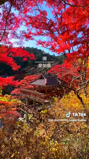 Discover Oidaira Park in Aichi Prefecture, Japan