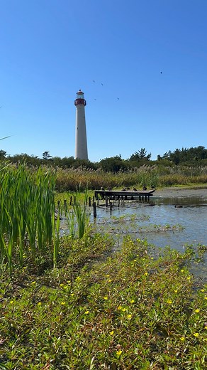 #52WeeksofAdventureNJ Week 38: Cape May Point State Park Witness the journey of many migratory birds at one of the top birding destinations in the country! 🦅 Cape May Point is known as a major migratory route for several species of birds in the spring and fall. In the fall, hundreds of hawks are counted as they pass the narrow corridor of land along the Cape May peninsula heading south. This offers birdwatchers of all ages, and experience, the opportunity to see these beautiful birds in flight