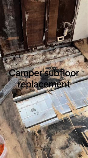 Camper Renovation Walls Replacement