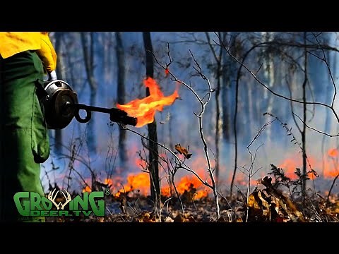 Prescribed Fire Tips And Techniques (683)