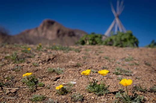 Is today the first day of spring? What time does spring arrive today?