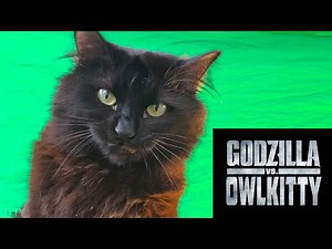 Godzilla vs. OwlKitty (Behind the Scenes)