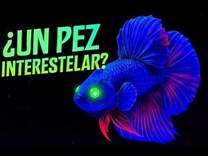 CONOCE AL PEZ BETTA ALIEN - UN PEZ INTERESTELAR ÚNICO PARA TU ACUARIO #acuarios #pecesbettasalien