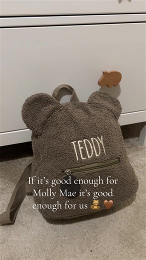 Get the Adorable Teddy Bear Bag Now!