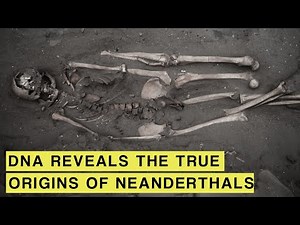 Ancient DNA Finally Uncovers the TRUE Origins of Neanderthals