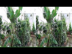 Sony HDR-TD10E Test Video 3D/PowerDirector 10 (yt3d)