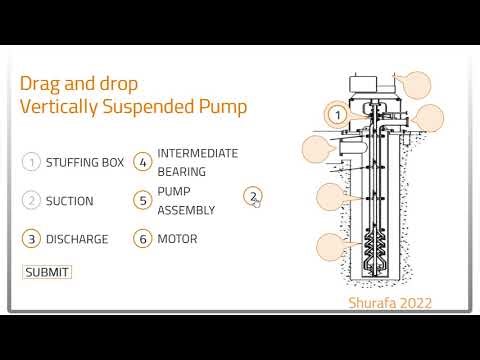 Vertically Suspended Pump