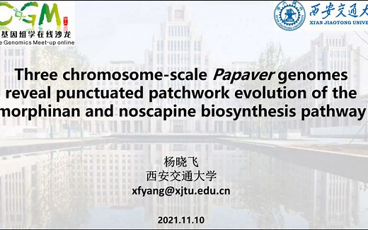CGM第一百九十六期 杨晓飞博士 三个染色体级别罂粟属物种基因组揭示吗啡喃类物质合成通路的补丁式跳跃演化