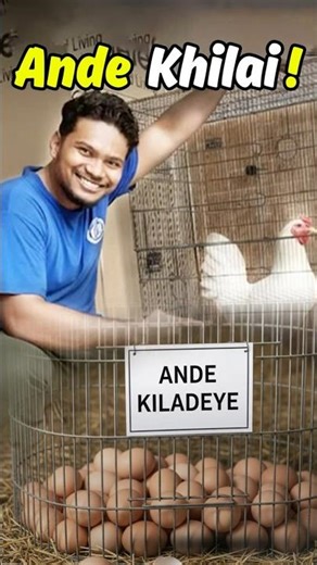 Chuzo ko aaj egg khilai #petlover #poultryfarming #murga #minivlog #aseellovers #kabutar