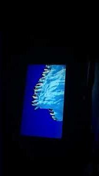 Do it again happy feet