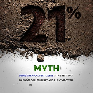 Life hack: your kitchen scraps are the secret to garden power! Composting reduces waste and naturally boosts soil health. Separate the myths from the facts about sustainable gardening now—you might be surprised. What’s one sustainable gardening habit you’re proud of? | PBS