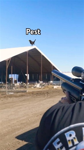 You'd think that was a laser gun